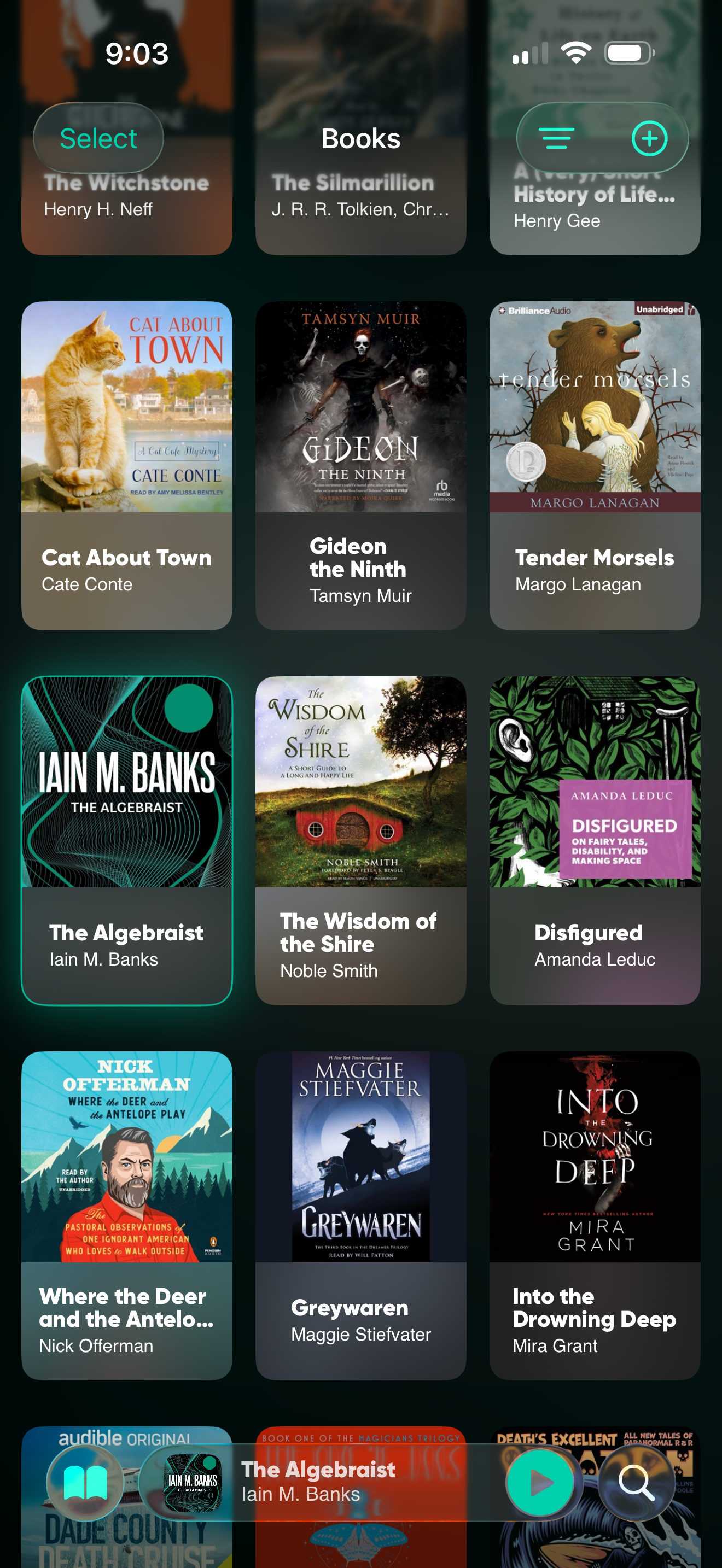 DeerReader books library screen